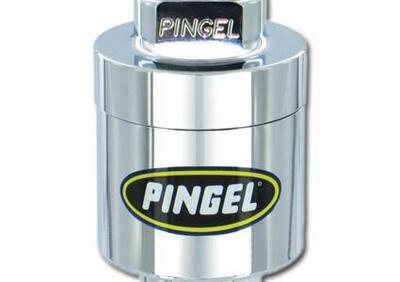 Filtro benzina Pingel cromato filettato 6AN Pingel  - Annuncio 8550379