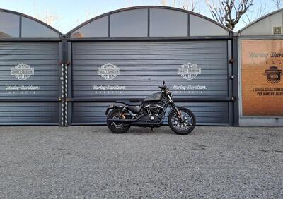 Harley-Davidson 883 Iron (2017 - 20) - XL 883N - Annuncio 9412267