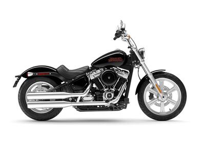 Harley-Davidson Softail Standard (2021 - 24) - Annuncio 9412918