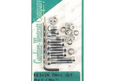 Kit completo bulloni per carburatore Keihin CV Har  - Annuncio 8872302