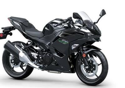 Kawasaki Ninja 500 (2024) - Annuncio 9416026