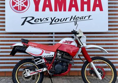 Yamaha XT 600 (1984 - 98) - Annuncio 9418285