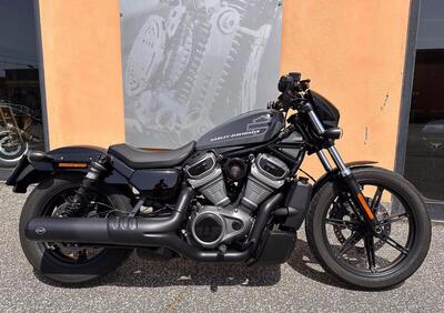 Harley-Davidson Nightster (2023 - 24) - Annuncio 9421996