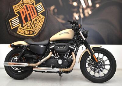 Harley-Davidson 883 Iron (2014 - 16) - XL 883N - Annuncio 9422606