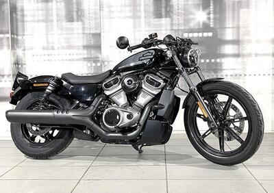 Harley-Davidson Nightster (2023 - 24) - Annuncio 9427308