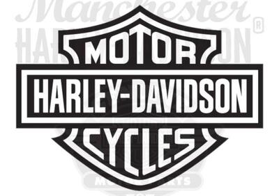 Adesivo serbatoio originale Harley Davidson rif OE  - Annuncio 9334721