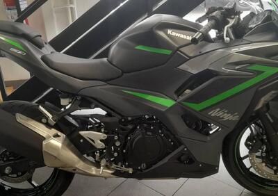 Kawasaki Ninja 500 SE (2024 - 25) - Annuncio 9441198