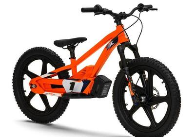 KTM SX-E 1.20 (2023 - 24) - Annuncio 9447135