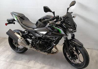 Kawasaki Z 500 (2024 - 25) - Annuncio 9361579