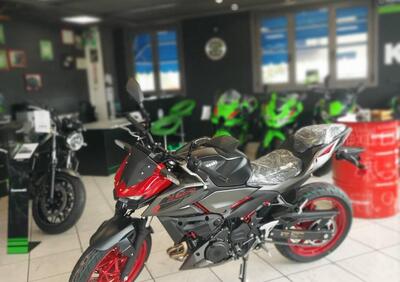 Kawasaki Z 500 SE (2024 - 25) - Annuncio 9449574