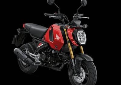 Honda MSX 125 Grom (2021 - 24) - Annuncio 9462658