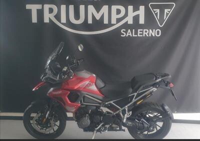 Triumph Tiger 1200 GT Pro (2024) - Annuncio 9469352