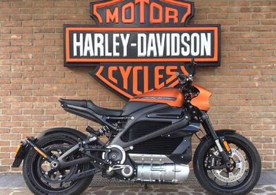 Harley-Davidson LiveWire (2019 - 22) - Annuncio 9471894