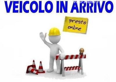 Benelli Leoncino 250 (2021 - 24) - Annuncio 9475138