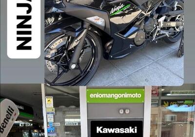 Kawasaki Ninja 500 (2024 - 25) - Annuncio 9479265