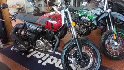 FB Mondial Spartan 250 (2024) nuova