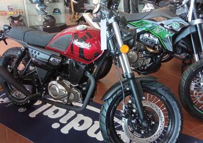 FB Mondial Spartan 250 (2024) - Annuncio 9485538