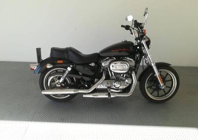 Harley-Davidson 883 SuperLow (2010 - 16) - XL 883L - Annuncio 9289630