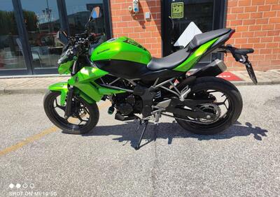 Kawasaki Z 250 SL ABS (2015 - 16) - Annuncio 9488147