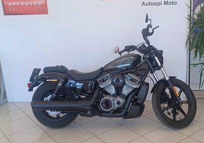 Harley-Davidson Nightster (2023 - 24) - Annuncio 9490574