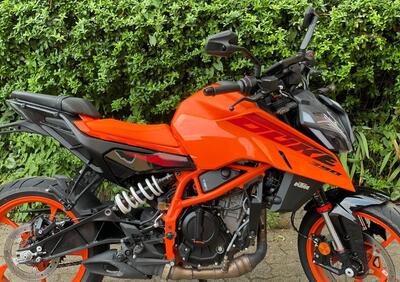 KTM 390 Duke (2024) - Annuncio 9495645