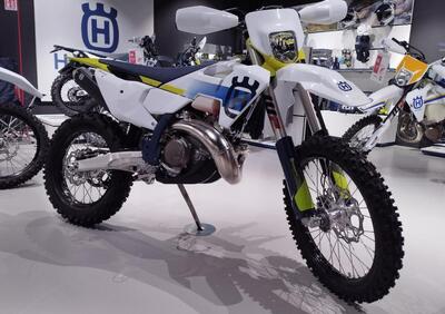 Husqvarna TE 250 (2024) - Annuncio 9503641