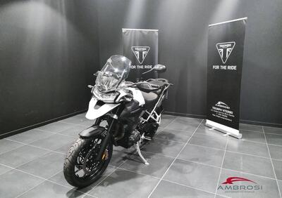 Triumph Tiger 1200 GT Pro (2024) - Annuncio 9509585