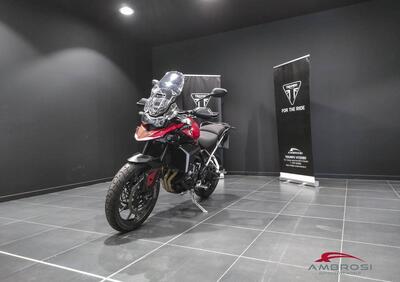 Triumph Tiger 900 GT Pro (2024) - Annuncio 9509593