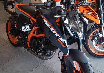 KTM 390 Duke (2024 - 25) - Annuncio 9517537