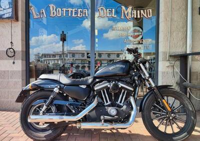 Harley-Davidson 883 Iron (2012 - 14) - XL 883N - Annuncio 9523427