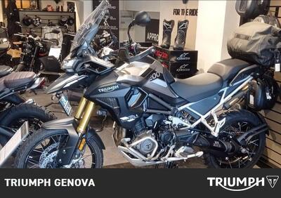 Triumph Tiger 1200 Rally Pro (2024) - Annuncio 9523644