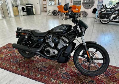 Harley-Davidson Nightster (2023 - 24) - Annuncio 9525620