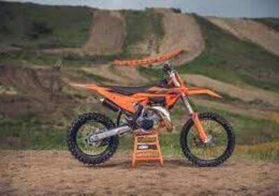 KTM SX 85 19"/16" (2025) - Annuncio 9526857