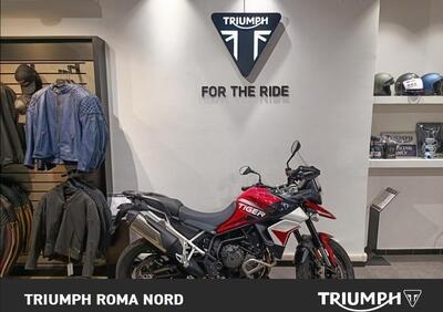 Triumph Tiger 900 GT Aragón Edition (2023 - 24) - Annuncio 9527883