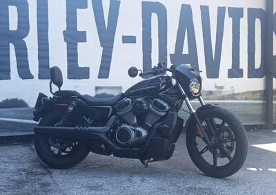 Harley-Davidson Nightster (2023 - 24) - Annuncio 9528150