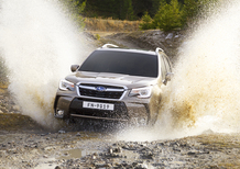 Subaru Forester | Test drive #AMboxing