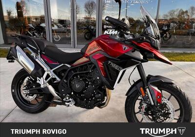 Triumph Tiger 900 GT Pro (2024) - Annuncio 9547183