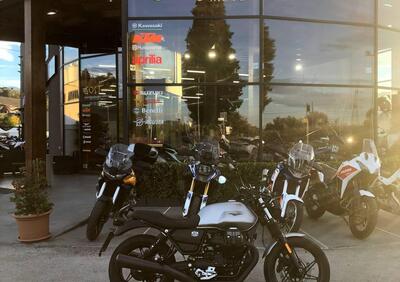 Moto Guzzi V7 Stone (2021 - 24) - Annuncio 9551222