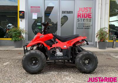  Altre moto o tipologie Quad - Annuncio 9551543