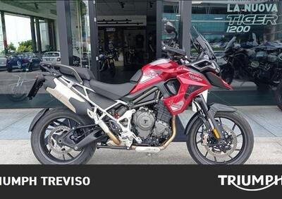 Triumph Tiger 1200 GT Pro (2024) - Annuncio 9523375