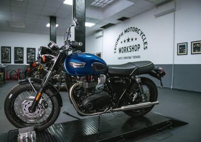 Triumph Bonneville T100 (2021 - 24) - Annuncio 9555503