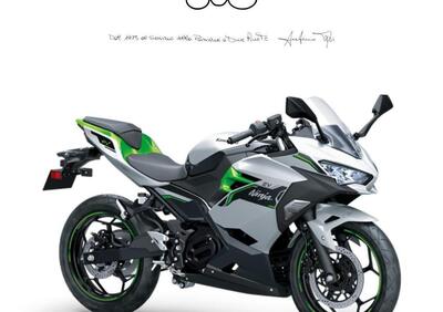 Kawasaki Ninja e-1 (2024) - Annuncio 9556762