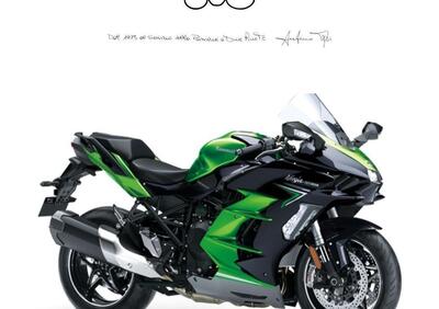 Kawasaki Ninja 1000 H2 SX SE (2023 - 25) - Annuncio 9557435