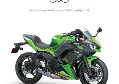 Kawasaki Ninja 650 (2021 - 24) - Annuncio 9557436