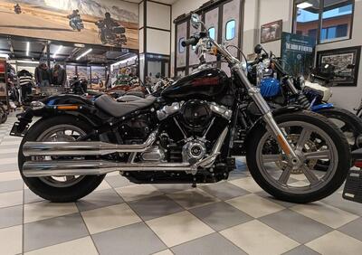 Harley-Davidson Softail Standard (2021 - 24) - Annuncio 9557875