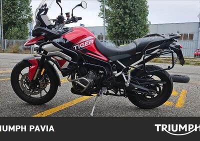 Triumph Tiger 900 GT Aragón Edition (2023 - 24) - Annuncio 9559586