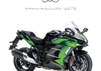 Kawasaki Ninja 1000 H2 SX SE (2023 - 25) - Annuncio 9560135