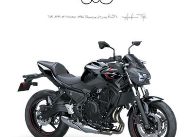 Kawasaki Z 650 (2021 - 24) - Annuncio 9560138