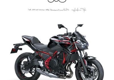 Kawasaki Z 650 (2021 - 24) - Annuncio 9560139