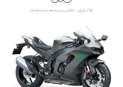 Kawasaki Ninja 1000 ZX-10RR (2025) - Annuncio 9560141